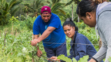 afcia helps philippines indigenous communities forge sustainable solutions