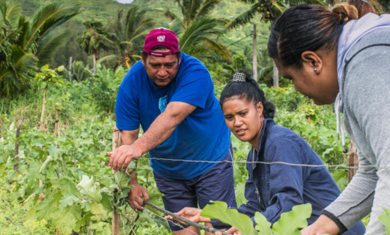 afcia helps philippines indigenous communities forge sustainable solutions