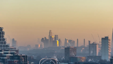 analyzing the uk's air quality targets nitrogen dioxide and pm2.5