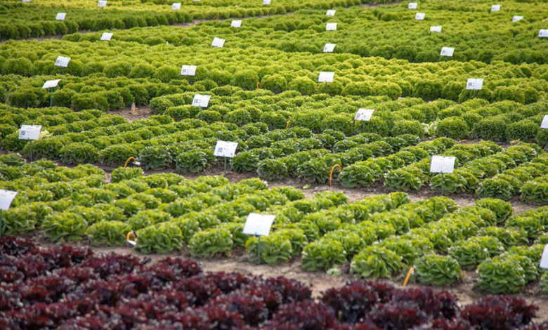 farm of the future sustainable agriculture in the netherlands