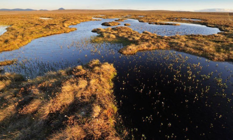 flow country scotland's carbon storehouse on world stage