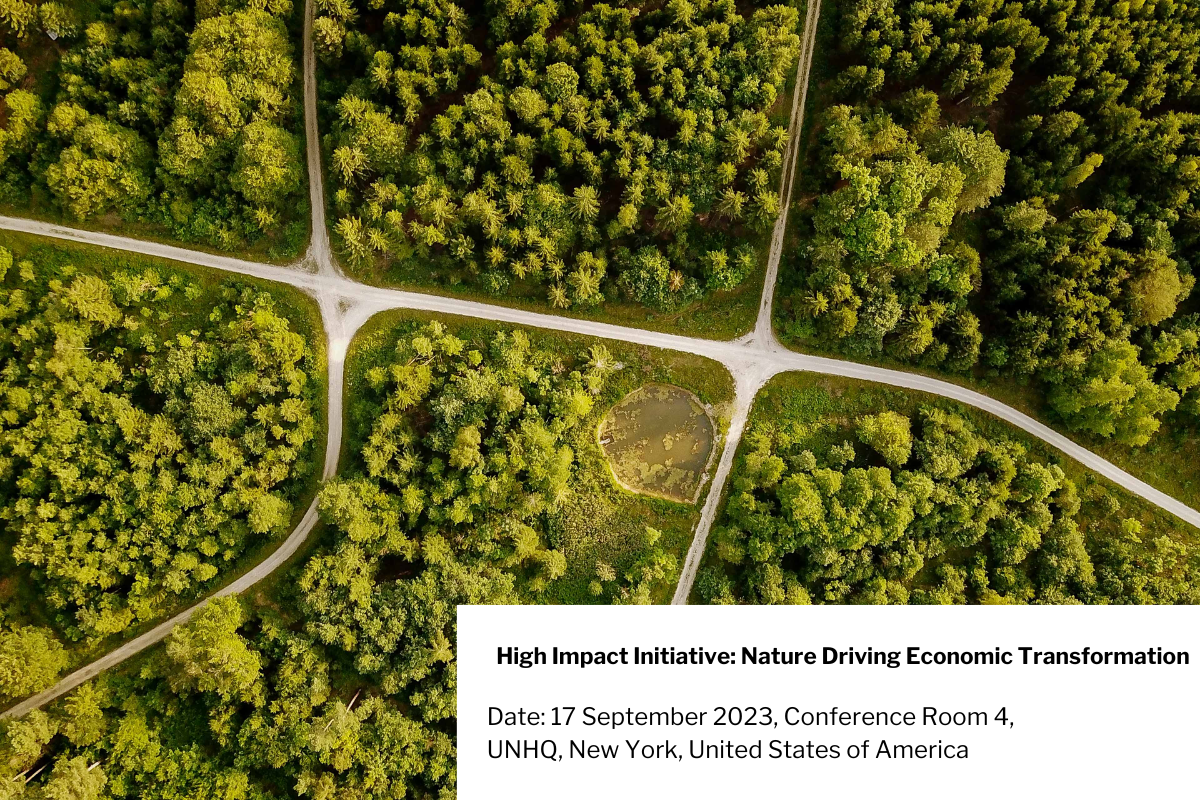 high impact initiative nature driving economic transformation