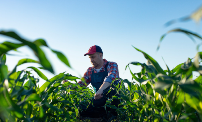 how are european farms adapting to climate change