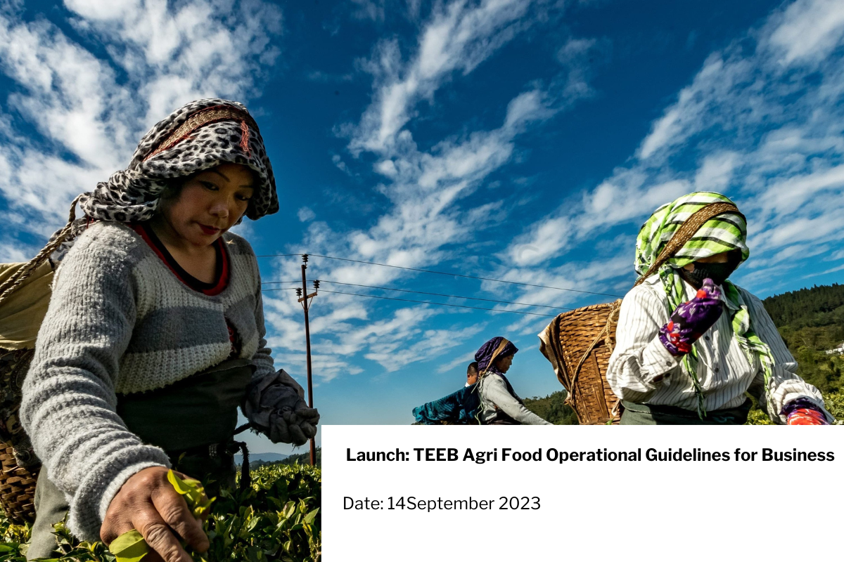 launch teeb agri food operational guidelines for business