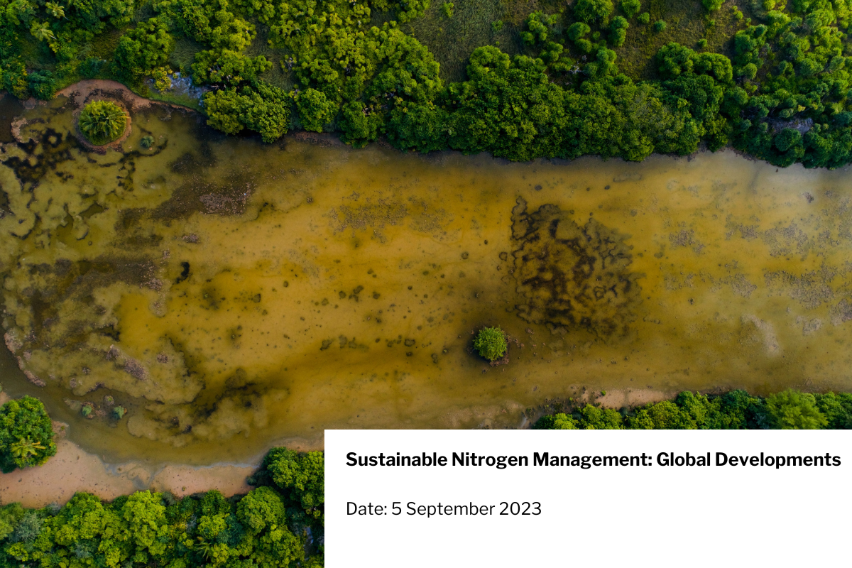 sustainable nitrogen management global developments