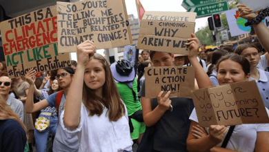 what do climate activists really want when they protest