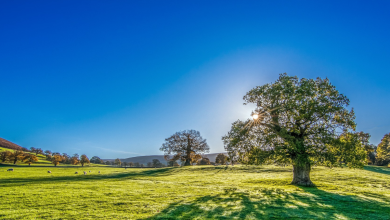 why is the international day of clean air for blue skies important