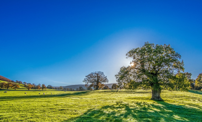 why is the international day of clean air for blue skies important