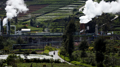 world bank's alleged support for indonesian coal plants sparks outcry