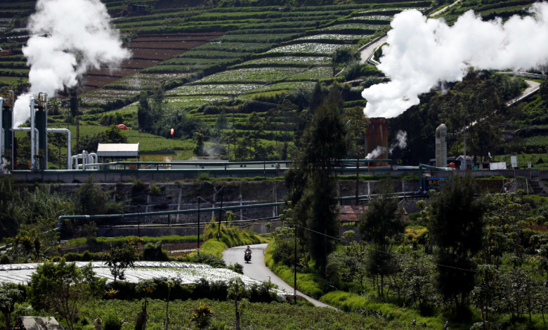 world bank's alleged support for indonesian coal plants sparks outcry