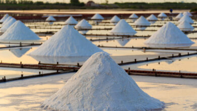 a breakdown of global salt cycle,findings from a new study