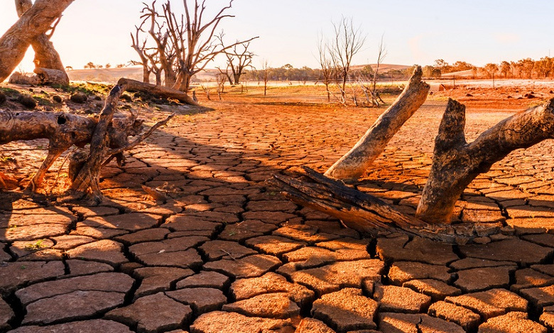 climate crisis and agriculture cop puts farming in the spotlight