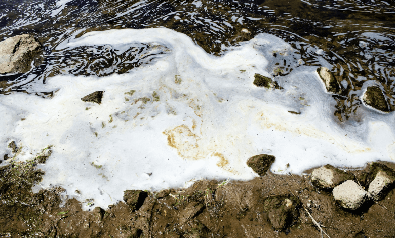 forever chemicals found in swiss groundwater