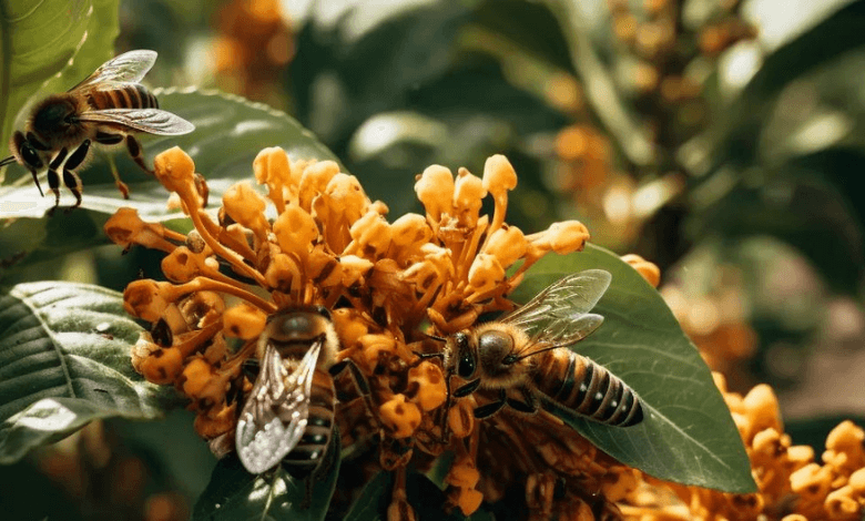 nature's partners pollinators, global warming, and beverage industries