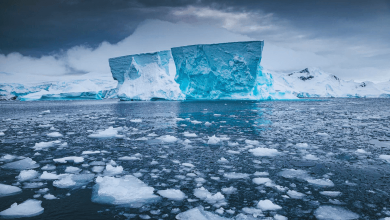 new zealand alarm about antarctica sea ice