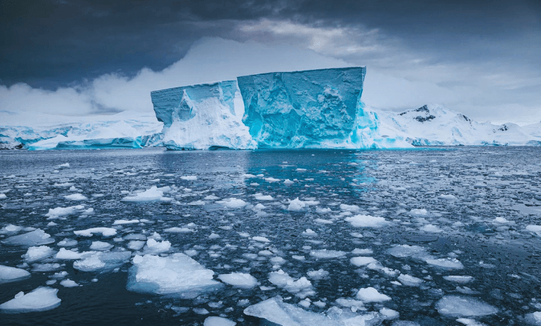 new zealand alarm about antarctica sea ice