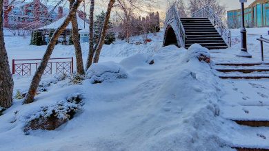 snowy bliss or icy gloom, predicting winter's nature