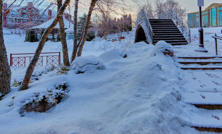 snowy bliss or icy gloom, predicting winter's nature