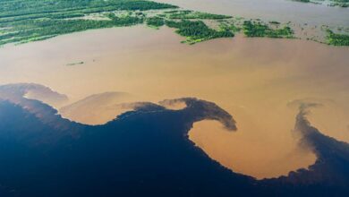 amazon's rio negro crisis