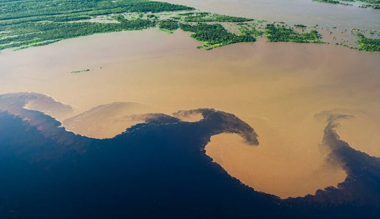 amazon's rio negro crisis