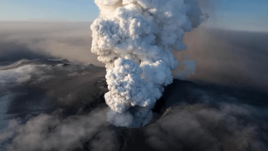 co2 readings from mauna loa unveil disturbing climate change reality.