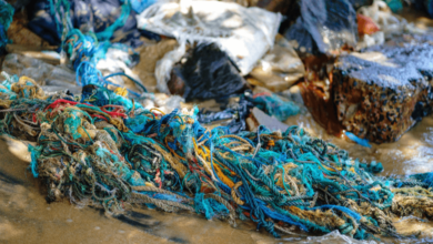 change and bold strategies to combat plastic pollution