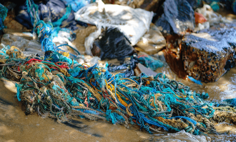 change and bold strategies to combat plastic pollution