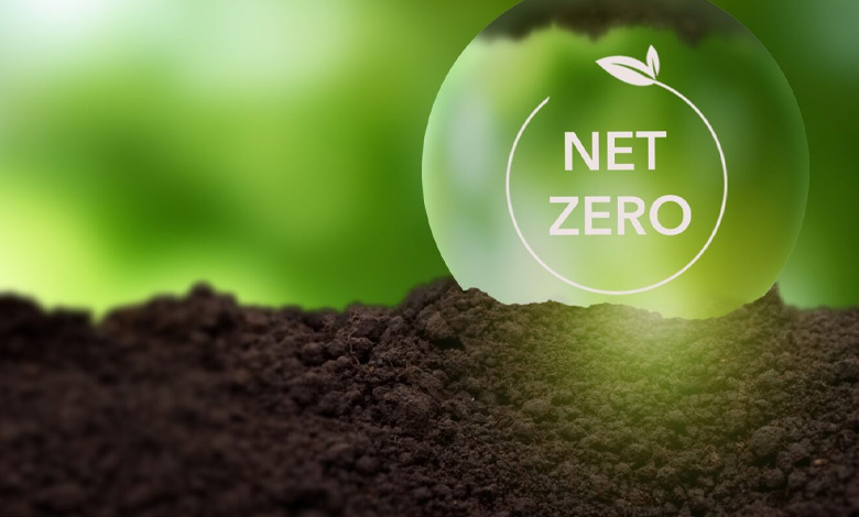 climate commitments the challenge of net zero goals