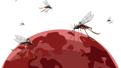 climate crisis increases the risk of malaria who warns!