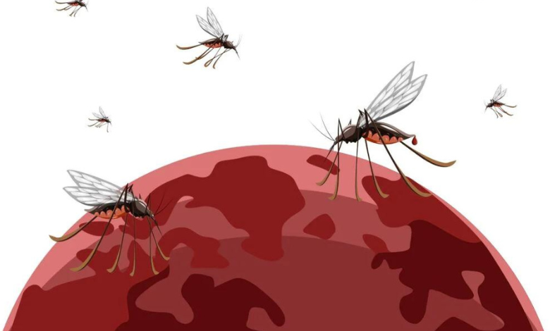 climate crisis increases the risk of malaria who warns!