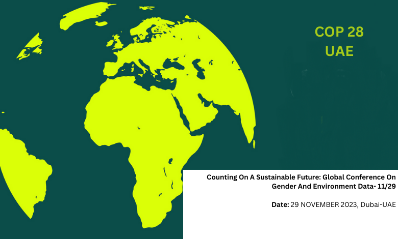 counting on a sustainable future global conference on gender and environment data 11.29