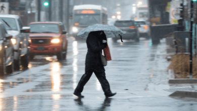 environment canada issues rainfall warning for hrm on saturday