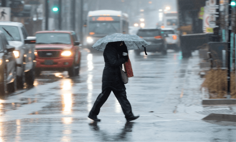 environment canada issues rainfall warning for hrm on saturday