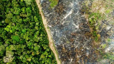 global banking watchdog proposes mandatory climate disclosures for banks from 2026