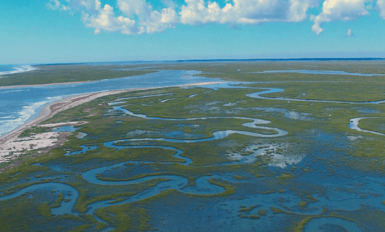 lamont doherty's mud library and earth's climate tale.