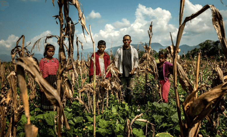 small farmers, big storms climate challenges unveil disparities