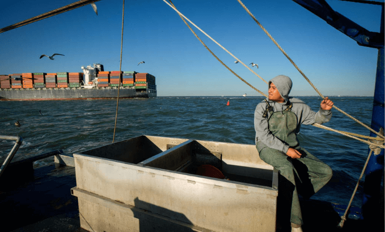 texas oyster industry faces double jeopardy, climate crisis and overharvesting woes