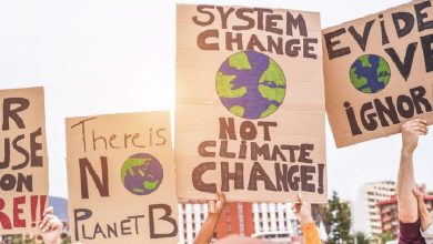 Disappointed, Angry, Terrified: Climate Scientists Call On Public To Become Activists