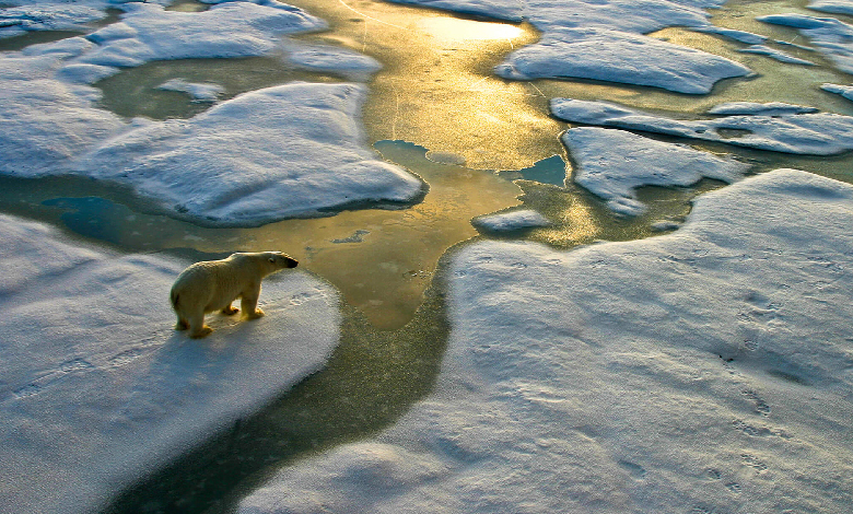 Global Tipping Points Report: Five Natural Thresholds Risk Being Crossed