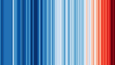 Symbol of Climate Change: Everything You Should Know About 'Climate Stripes'