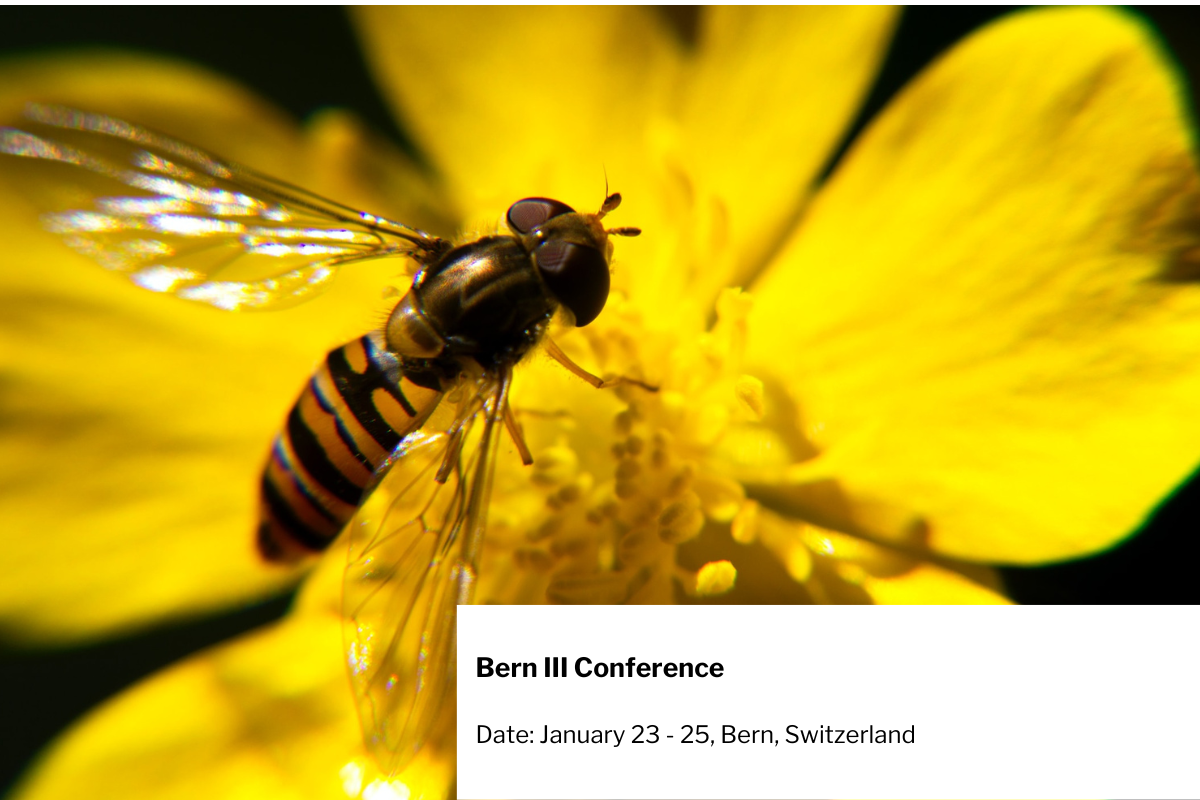 Bern III Conference