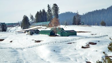 Climate change: Is snowless Kashmir's bare hillsides a barometer of changing atmosphere?