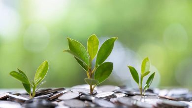 UAE's green finance strategy setting an example for Middle East and beyond