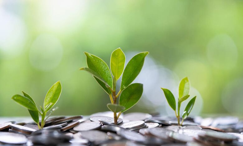 UAE's green finance strategy setting an example for Middle East and beyond