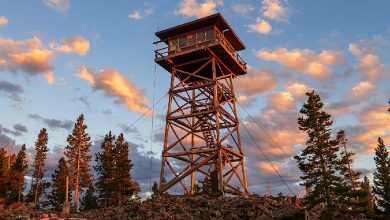 9 Most Asked Questions About Lookout Towers That Should Be Answered