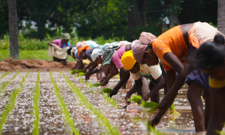 climate action and women