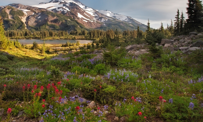 mount jefferson wilderness oregon