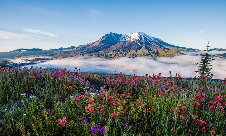 mount st. helens national volcanic monument washington