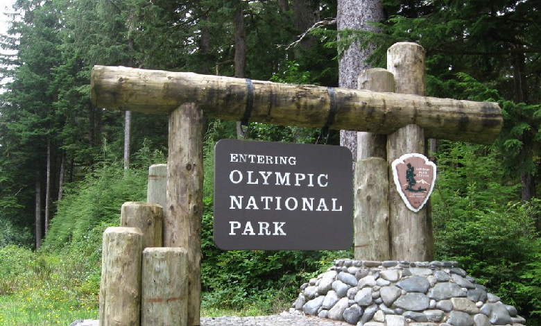 olympic national park washington