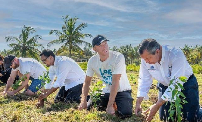 tree planting